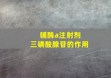 辅酶a注射剂 三磷酸腺苷的作用